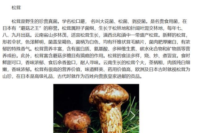 菌类的食材有哪些,火锅菌类食材排行图3