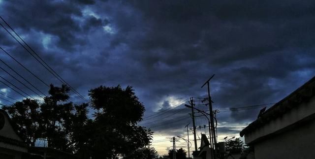 为什么蚂蚁要在下雨前搬家,为什么快下雨蚂蚁就会搬家图2